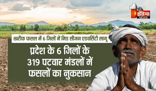 Rajasthan: अन्नदाता को मिलेगी राहत ! कृषि विभाग ने बीमित किसानों का करवाया सर्वे, असेसमेंट के आधार पर मिलेगा किसानों को मुआवजा